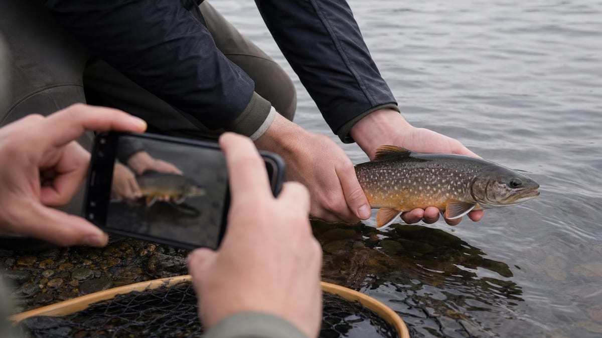 Two anglers at the water's edge, one cradling a spotted brook trout above the shallows while the other photographs it with a smartphone, with a wooden landing net resting in the water nearby