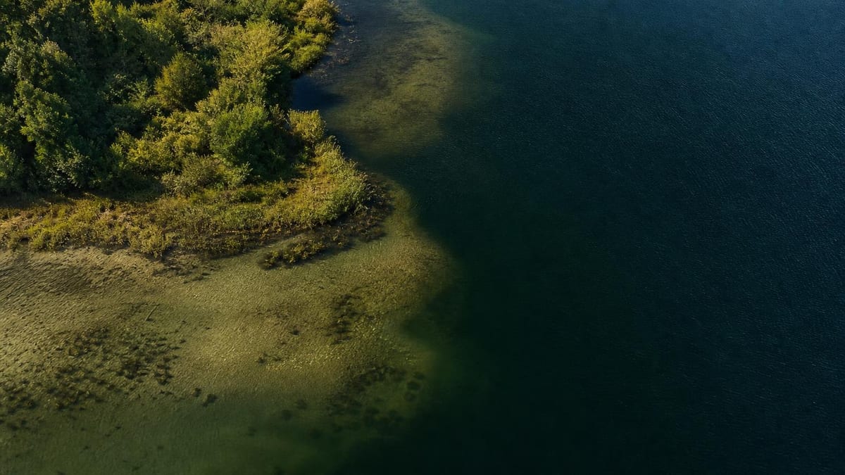 An aerial view of a forested shoreline meeting a body of water, with shallow greenish areas near the land transitioning to deeper blue water