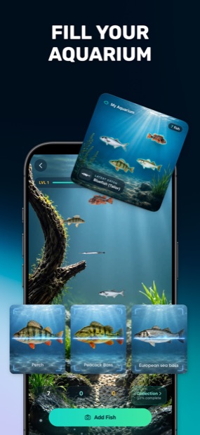 Fill your aquarium with your catches