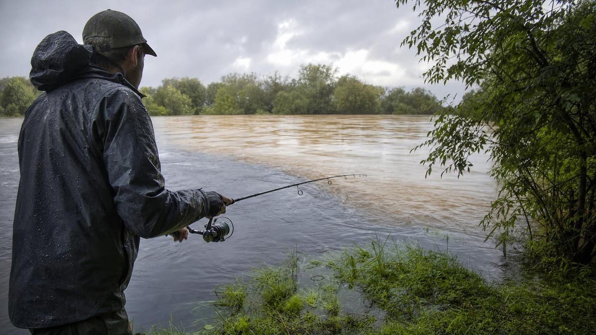An angler in a rain shell fishing a swollen, runoff-stained river shortly after heavy rain, where a distinct mudline meets clearer water under a breaking grey sky