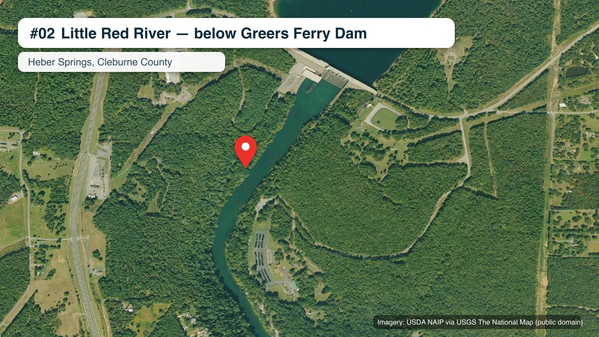 Best Fishing Spots in Arkansas: 5 Waters, Exact Spots